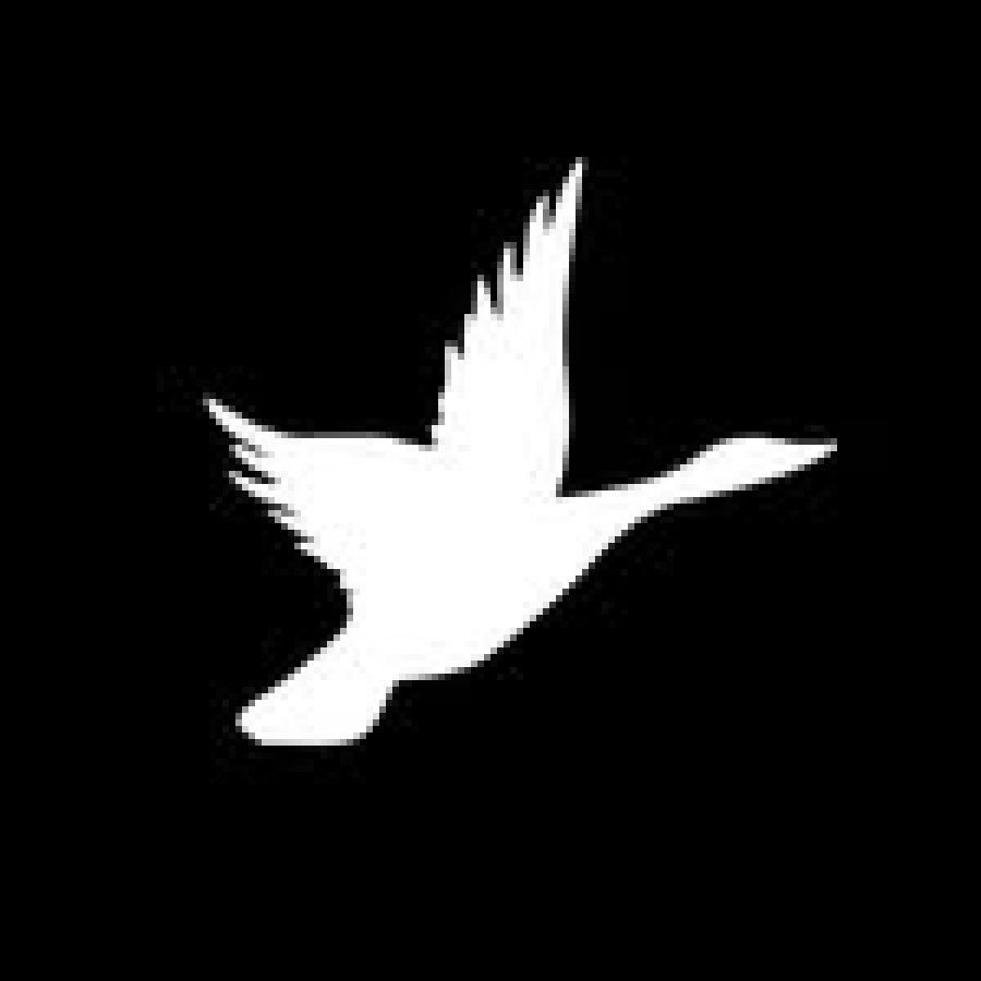 Spallumcheen Golf & Country Club - Executive Course