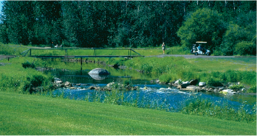 Mannville Riverview Golf Course