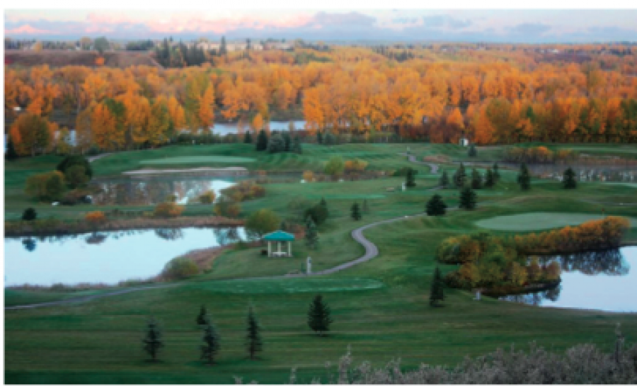 McKenzie Meadows Golf Course